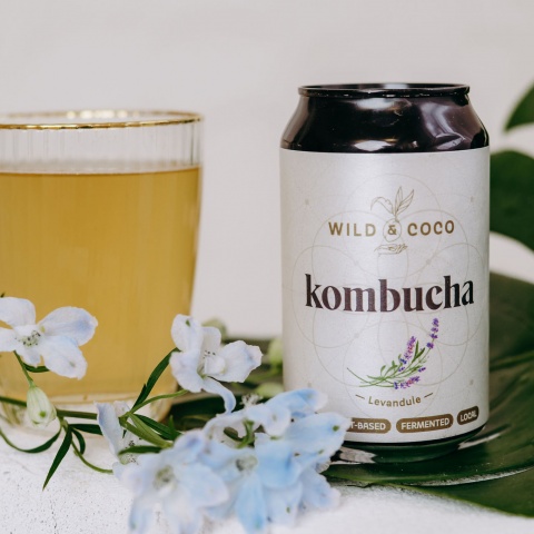 Kombucha – Levanduľa