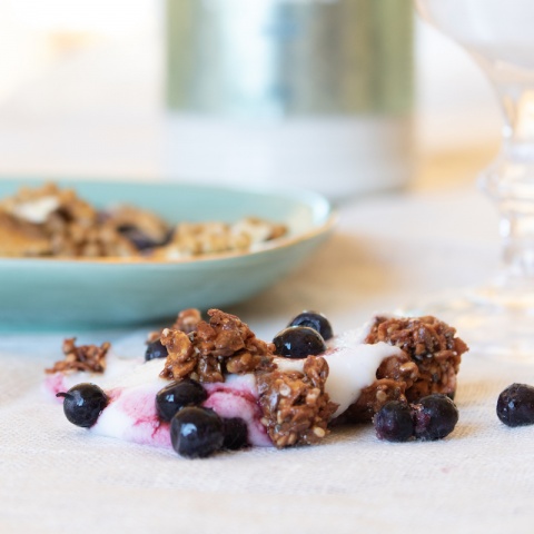 Symbiotic Cocoguard Young coconut BIO (Gastro)