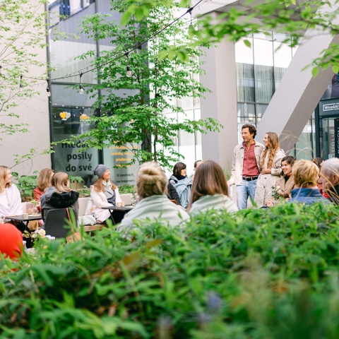 Válka skončila. Transformační retreat. 4.-7.6.2026. (2 osoby)