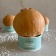 Wild Raw Coconut Water – kopie